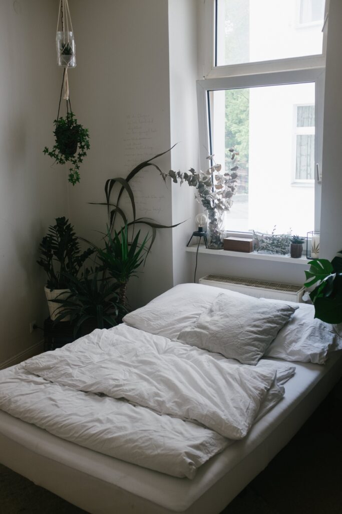 Rośliny do sypialni