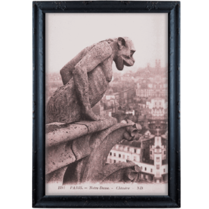Paryż Chimery z Notre Dame 6 obraz retro