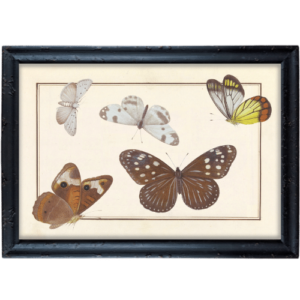 Fruwające motyle w odcieniach brązu grafika prowansalska