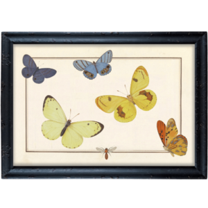 Fruwające motyle w odcieniach żółci grafika prowansalska