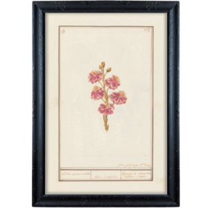 Karta z różowymi kwiatami obrazek prowansalski