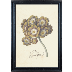 Kulisty kwiat z kaligrafią obrazek prowansalski