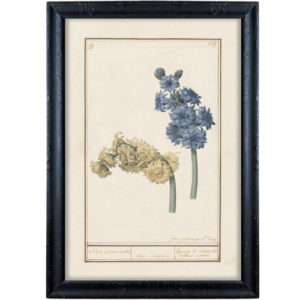 Karta z kwiatem niebieskim i żółtym obrazek prowansalski