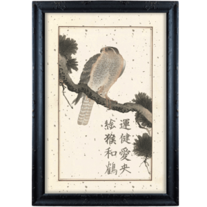 Ptak drapieżny grafika japońska