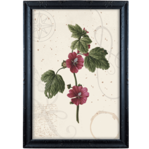 Różowe kwiaty z postarzającymi elementami obrazek prowansalski