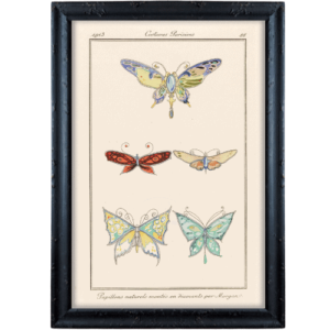 Tablica Baśniowe motyle grafika prowansalska
