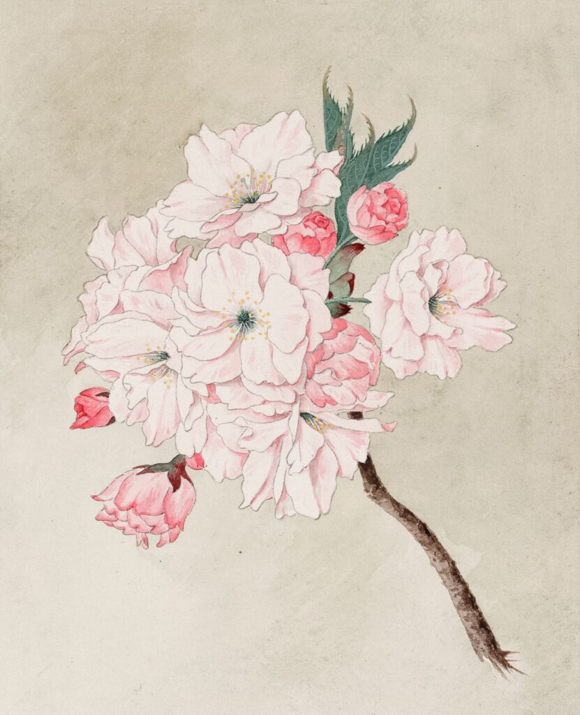 Obraz w stylu prowansalskim kwiaty