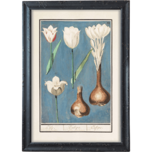 Tulipany na niebieskim tle obrazek vintage